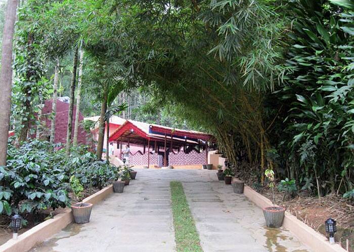 Halligadde Homestay, Chikmaglur 4